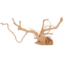Zolux Akvarijní dekorace pavoučí kořen 50-60cm