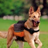 Ferplast Dog Scout batoh pro psa