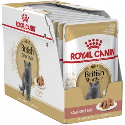 Royal Canin British Shorthair Gravy 12 x 85g